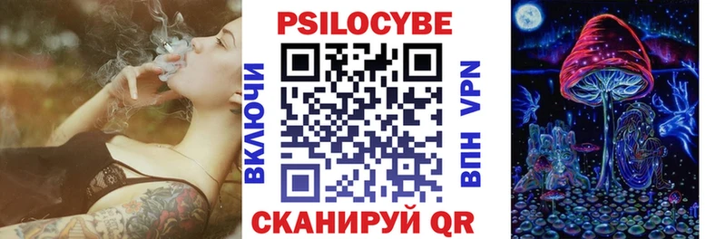 Псилоцибиновые грибы Psilocybine cubensis  Черногорск 